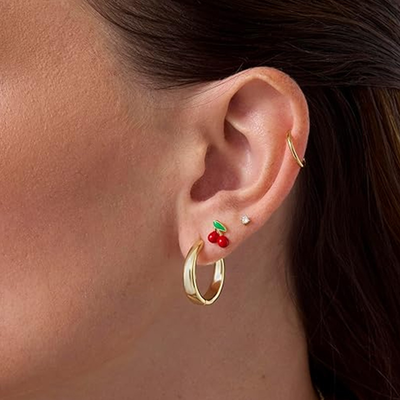 2 chiếc khuyên tai sụn cho nữ  - đánh giá và giá Body Jewelry Surgical Steel